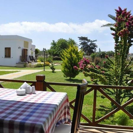 Villa Lembos Hotel Karpaz Rizokarpaso 외부 사진
